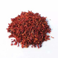 New Crop getrocknete Gemüseflocken roter Paprika zum Kochen